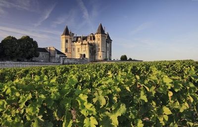 《莞飲莞食》攜法國紅酒做客上東國際_新浪地產(chǎn)網(wǎng)