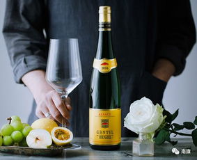 關(guān)于法國葡萄酒,你知道10大產(chǎn)區(qū)在哪嗎