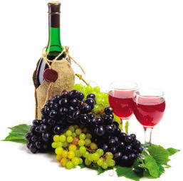 進(jìn)口法國(guó)紅酒報(bào)價(jià) 廠家